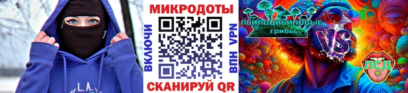 Псилоцибиновые грибы мицелий omg Архангельск даркнет сайт